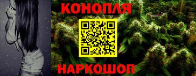 spice Нальчик