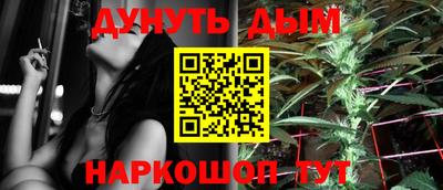 крисы Новодвинск