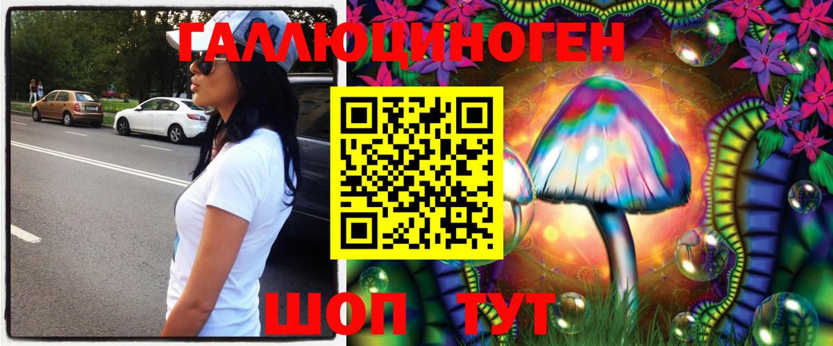 Псилоцибиновые грибы GOLDEN TEACHER Алатырь