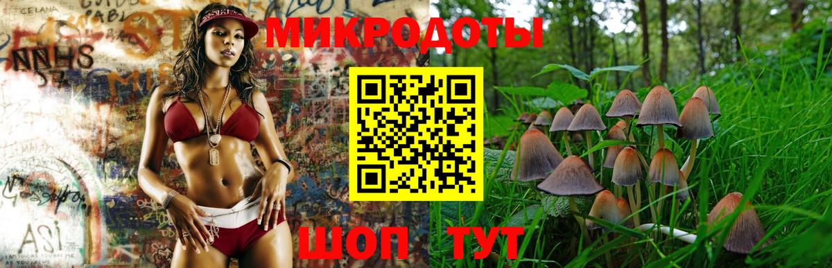 Псилоцибиновые грибы ЛСД  Вход с VPN  Псилоцибиновые грибы Psilocybe  Алатырь 